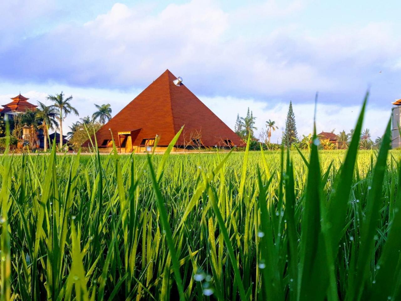 Suly Vegetarian Resort & Spa Ουμπούντ Εξωτερικό φωτογραφία